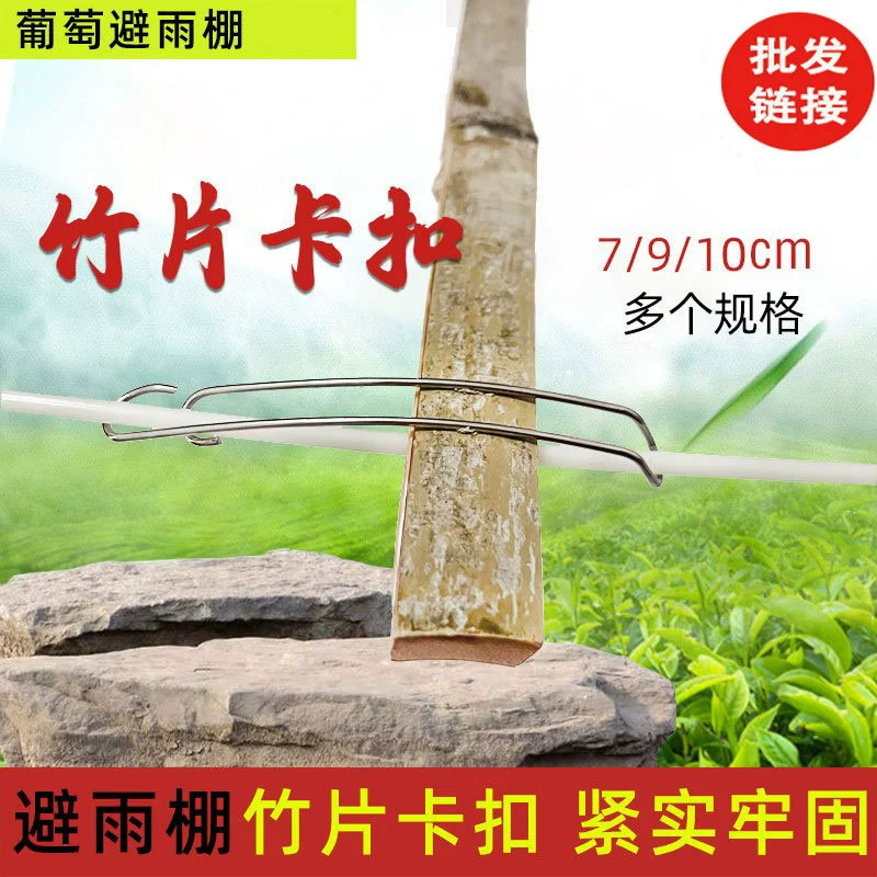Теплица Бамбук Зажим Бамбук Держатель Виноградный Дождь Навес Бамбуковый Зажим Аксессуары Провода Нержавеющей Стали Аксессуары Для Укрытия От Дождя