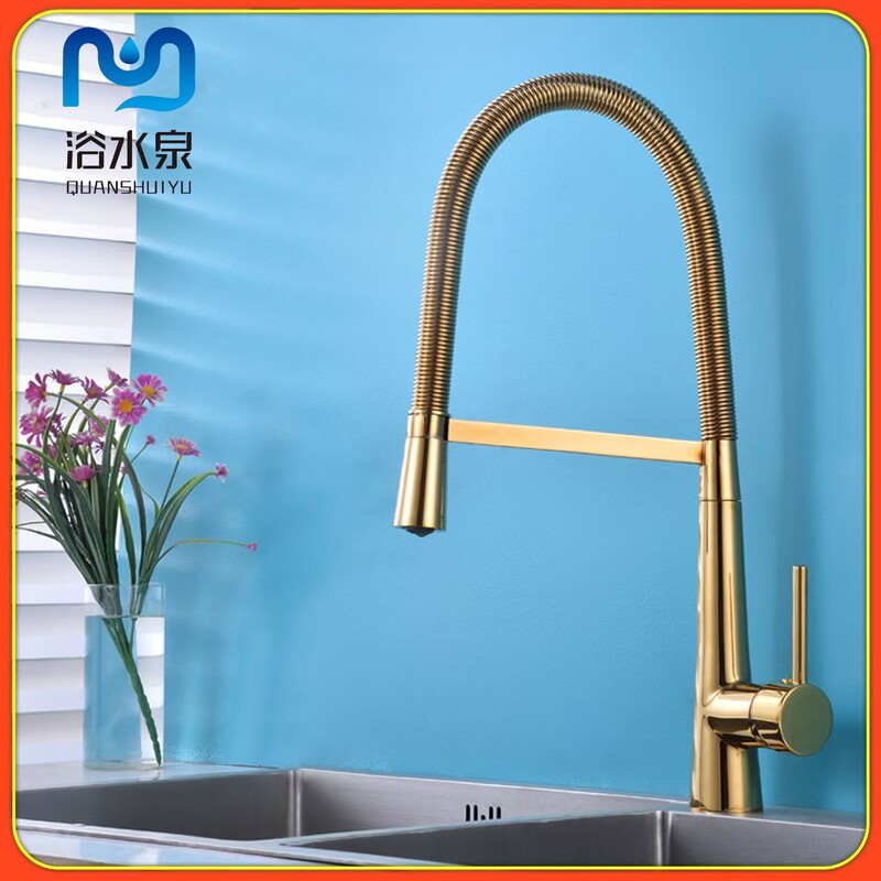 Cross-border Copper Body Golden Spring Kitchen Faucet Hot and Cold Pull-out Universal Rotating Vegetable Washing Pool Vegetable Basin Sink
