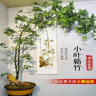 С�~�{���Ʒ�辰�����Ϙ��U�������k�����҃������ļ��͏d�G���l