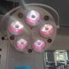 medical Operation Pentapore Drop Beauty Lights move Pets inspect Halogen LED Dimming five hole lamp