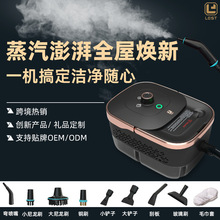 高压手持便携式多功能高温蒸汽清洁机厨房油烟机汽车贴膜清洗工具