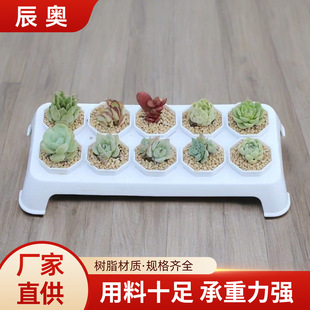 ����˽Ƕ��������b4.5cm��ɫ�м�10���������������������l