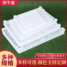 厂家塑料单冻器 果蔬烘干托盘网眼食品冷库速冻筐晾晒筐冷冻盘