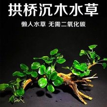 �~���쾰Ī˹��ľ��Ȼ��ˮ��Ľ˹�����ˮ��ľ�^���B�B�~Ī˹��