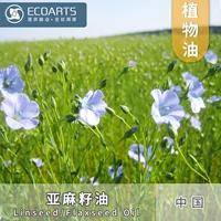 Льняное масло Yaqi сырье семена холодного давления экстракция растений базовые производители эфирных масел оптом льняное масло