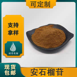 安石榴苷 琼华生物  石榴皮提取物  安石榴甙 现货 量大从优