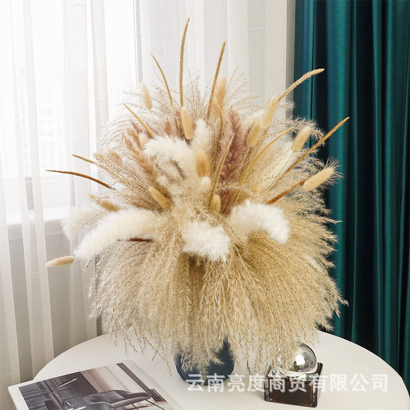 Pampas naturales ramo de flores secas cola de conejo hierba pequeña Reed polvo Reed madera estilo bohemio decoración del hogar