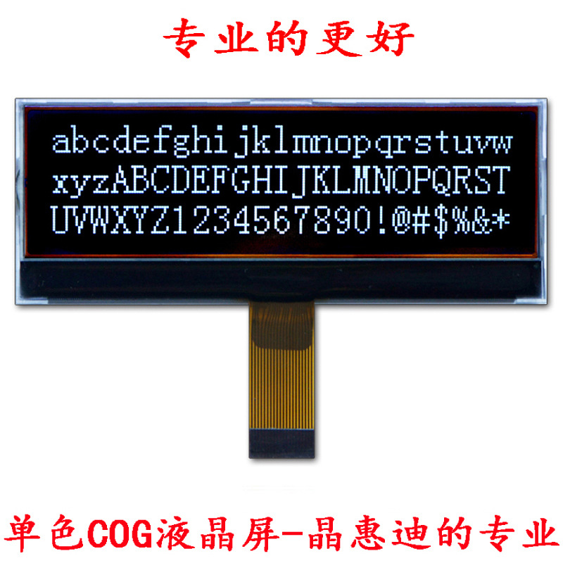 19248/液晶模块/LCM/3.1寸/点阵/负显/黑膜/COG/串并口/FSTN