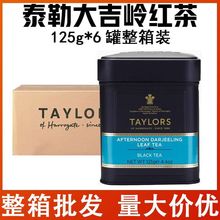 TAYLORS OF HARROGATE̩մ󼪎Xt125g*6{ζɢ