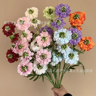 ��c���滨��֧�x�ݻ�Y�ò廨���üٻ�����ɏ�F��ɏ��ˇ���Q���l