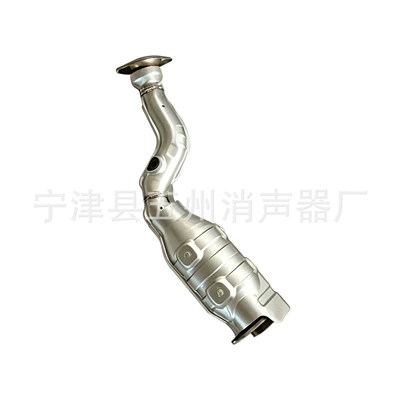 purify exhaust gases, Katalizator