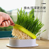 New cat grass potted laziness -free waterless hydroponic planting box cat grass pot wheat particle cultivation plate cup set wholesale