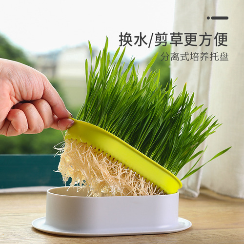 Cat Grass Planter General Planting Box Set Cat Grass Cat Snacks Wheat Seed Cultivation Hair Combing Cat Supplies