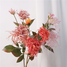 �͹��ͮ��L���滨��z��ᘾջ�ˇ���廨��c�쾰�zӰ����ܛ�b��O