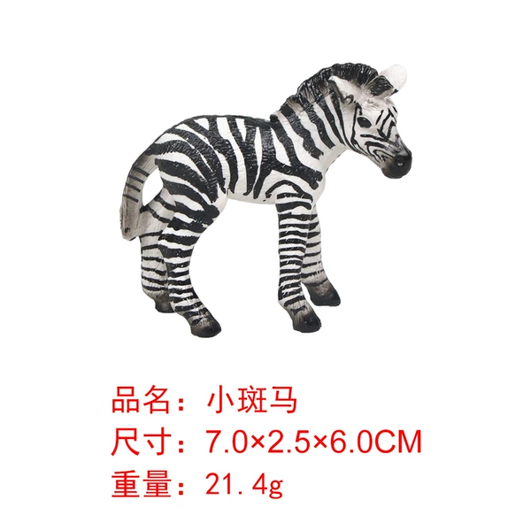 M4032 Little Zebra