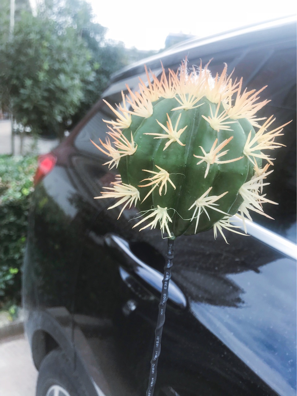 Mini Car Antenna Decoration Car Exterior Decorations Cute Cartoon Doll Antenna Ball Roof Modified Cactus Ball