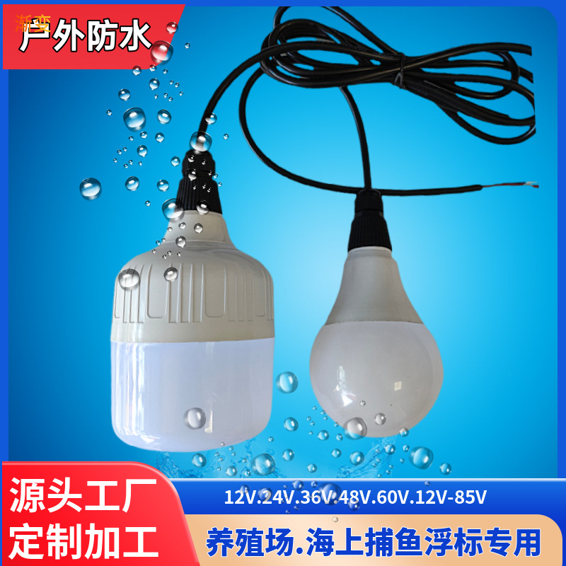 低压直流12伏24伏36伏48伏伏船用养殖场地摊防水LED球泡灯
