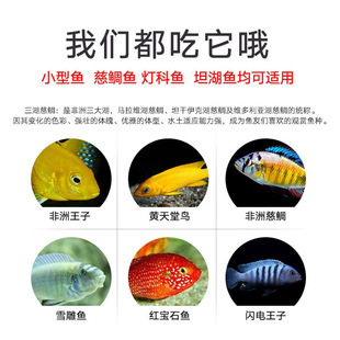 Baiyinmei Sanhu Cichlid Fish Feed Liujian Fish Food Horse Bream and Cichlid Microbial Vegetarian Carnivorous Ornamental Fish Food