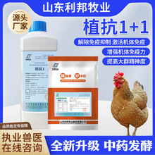 ���С�u��ɻ��� С�u�������������� 10���g�B�u����ș���ӄ�