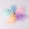 Manufacturers supply Turkey Hair DIY colorful vascular velvet feather jewelry accessories decorative feather wholesale