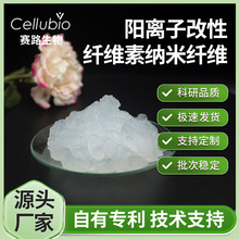 ��x�Ӽ{���w�SCCNF��늺ɼ��@�}���ԑҸ����������Ɍ��ˮ���z��