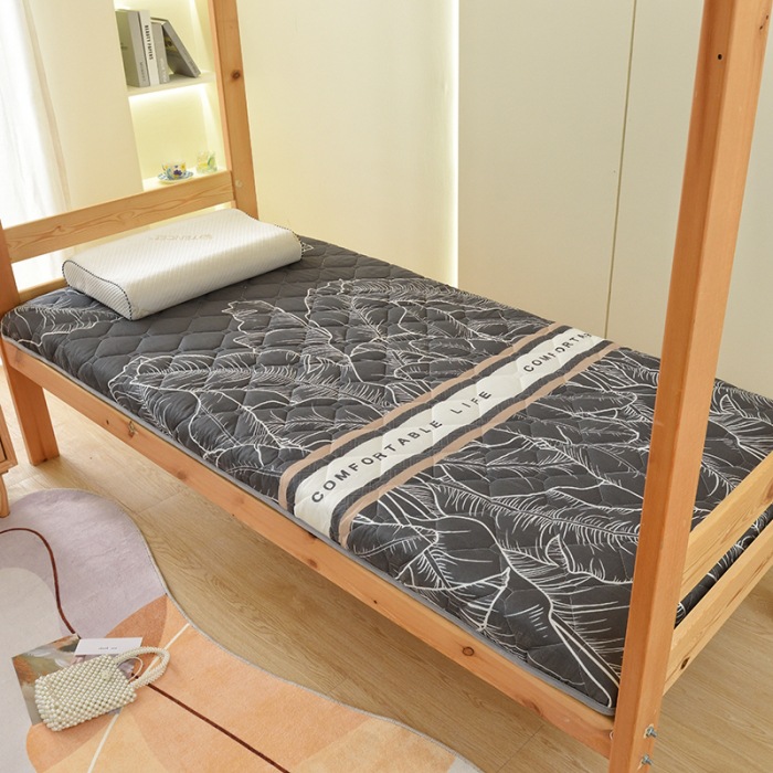 2024 Student Version Dormitory Washable Cotton Skin-friendly Thickened Antibacterial Mattress Soft Pad Double Bedding 