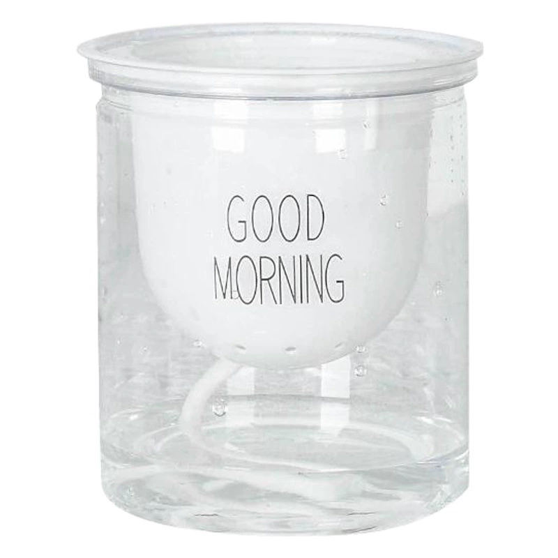 Meixuan ленивый пластиковый цветочный горшок автоматический абсорбирующий прозрачный Круглый гидропонный цветочный горшок креативный полимерный цветочный горшок для суккулентов