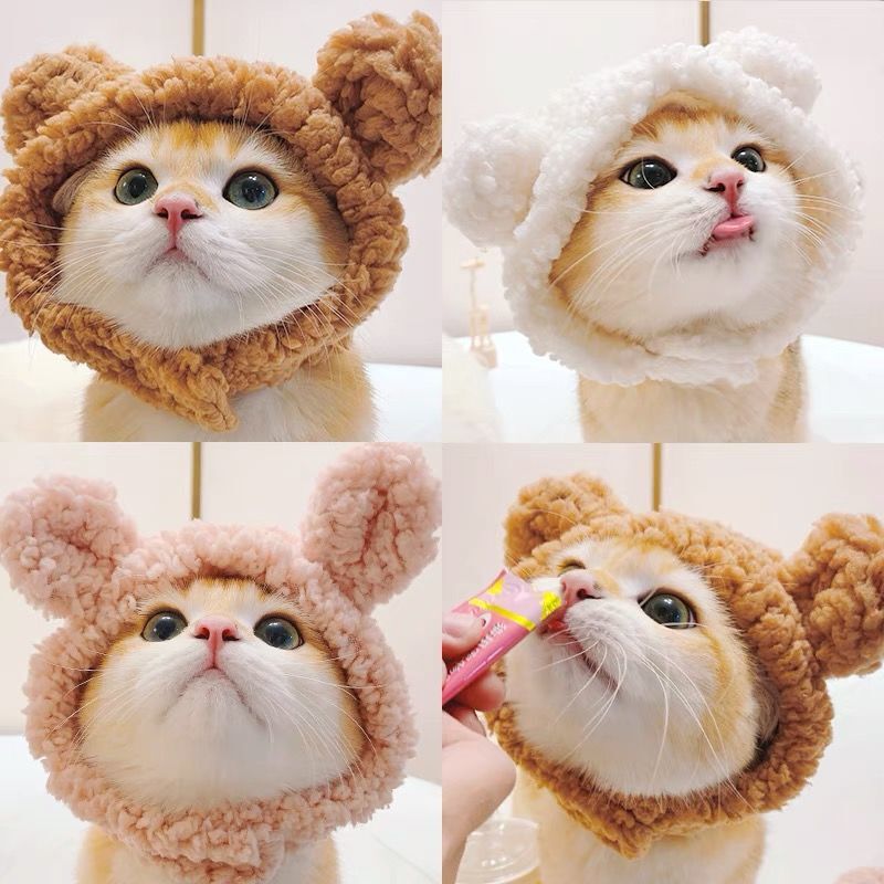 Autumn and Winter Pet Hat Bear Plush Headgear Short Cute Cat Hat Small Dog Dog Photo Headwear