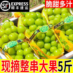 ꖹ�õ���������r����ˮ����������ˮ�����������������a����