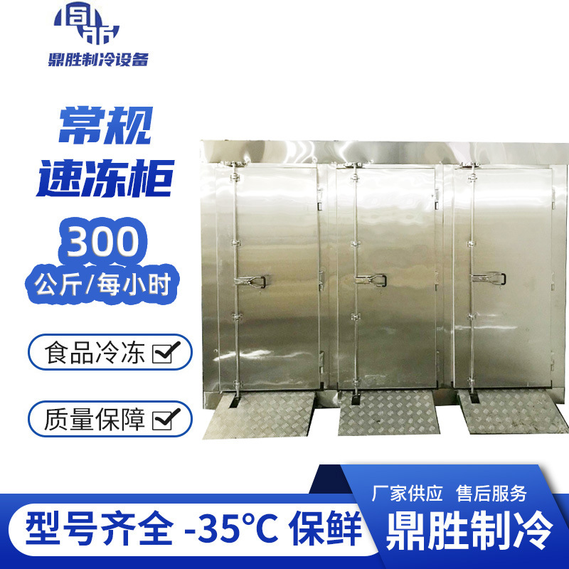 鼎胜速冻柜冷冻包子立式商用冰柜厂家大型食品速冻柜不锈钢冷库