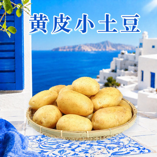 ������ʩ�SƤС���� ���l3/5/9���Ŵ�R����д���������r�߲�