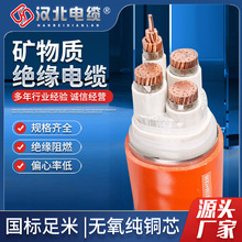 礦物質防火電纜 低煙無鹵阻燃電纜 工業建築布線電纜國標銅護套電
