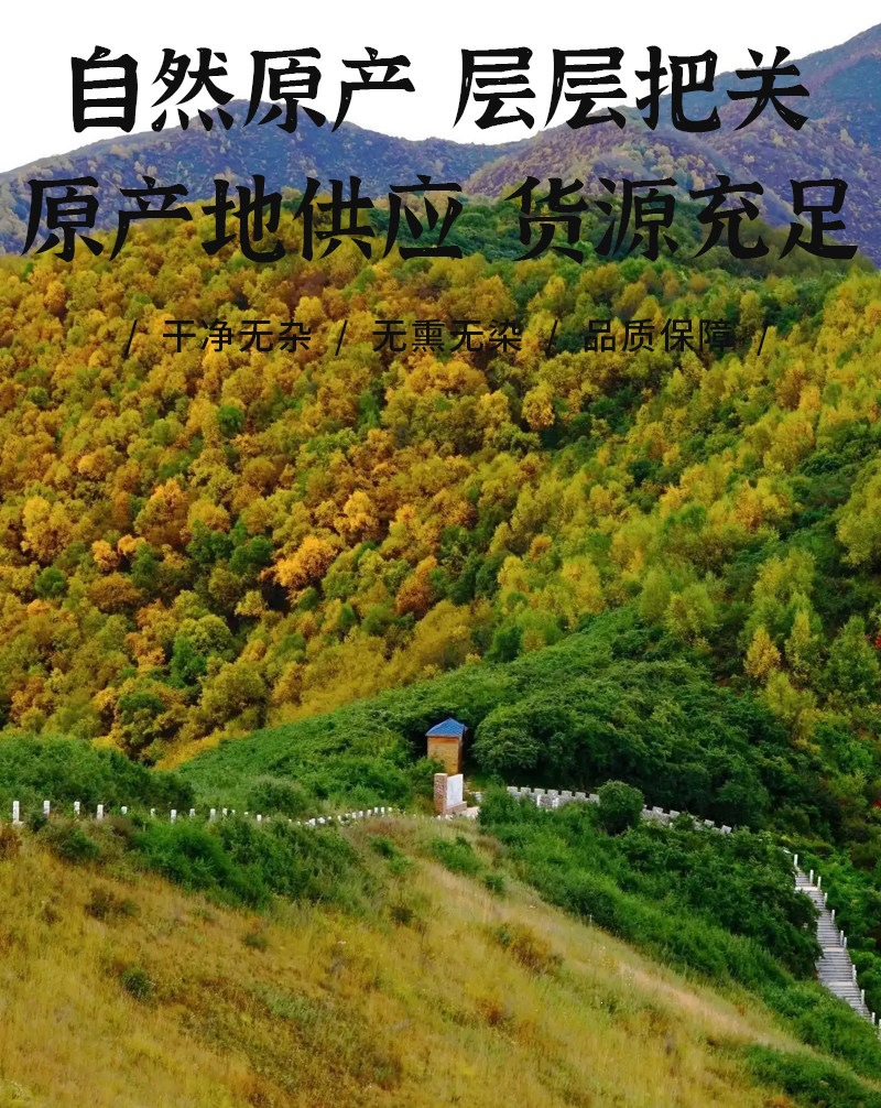 Magnolia Bark Hou Po 厚朴 Dried Sichuan Herb 500g Traditional Decoction Pieces in use