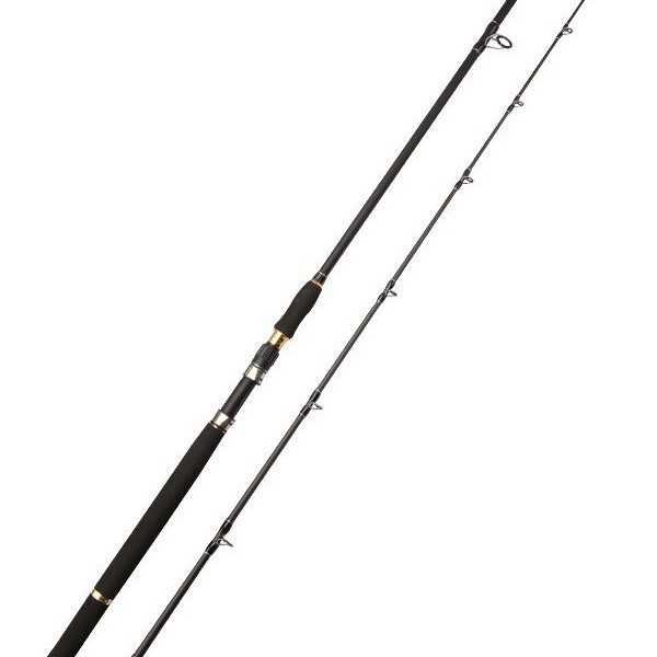 Powerful Fishing Rod 3m Anchor Rod Xxxh Carbon Giant Fishing Rod Long Casting Rod Snakehead Fishing Rod Anchor Rod Lure Set Powerful Fishing Rod 3m Anchor Rod Xxxh Carbon Giant Fishing Rod Long Casting Rod Snakehead Fishing Rod Anchor Rod Lure Set