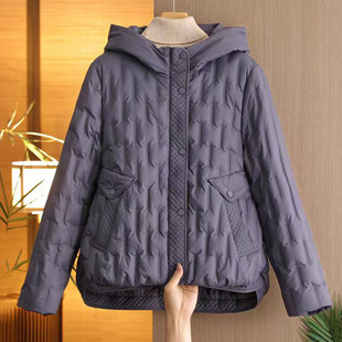 �͹��Bñ��q��Ů2025�����¿�s���e�������Ᵽů�����q���׳�