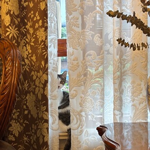 ��ʽ�й��L�Wʽ�Pβ���������w����z�q���͏d�̨�߼��д���