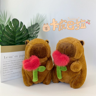8�翨Ƥ����ˮ��ë�q��߹���ץ�C������ż���Q���l��ͨ��ż���l