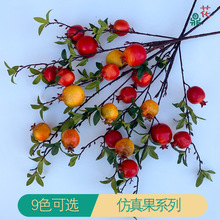 9�^�S��� 7�^ʯ������ �羳���Q���l�ٻ� �҃Ȕ[��������ꐽ���