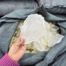 Խ�ϰ�ɳ�㽺â��ǻ���Ƭ ��ˮԲƬ�����㽺��״ 15ͷ����