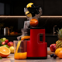 �羳ե֭�C������֭���x�๦����ĥ�Ԅ�80mm��ڏ�ԭ֭�Cˮ��֭�C