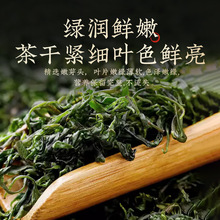 知春寒30g罐装 新鲜酸枣嫩芽 酸枣芽酸枣叶茶山枣叶茶 抖快淘爆款