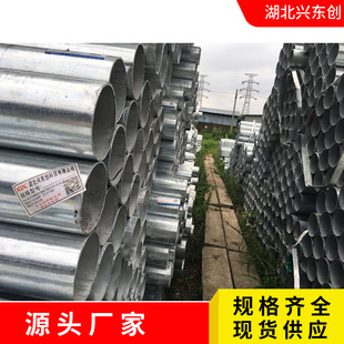 \䓹FֱpQ235Bƹd|L٬F؛