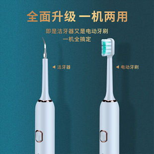 Removal of dental calculus ultrasonic dental scaler household dental cleaner dental cleaner beauty instrument a generation of hair
