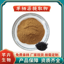 羊栖菜提取物 水溶羊栖菜粉 灯笼菜/玉海草粉 浓缩粉厂家1KG包邮
