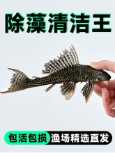 �^�p�~��������~С���~���^�p����ˮ�����坍���~�׳��S�㹤���~
