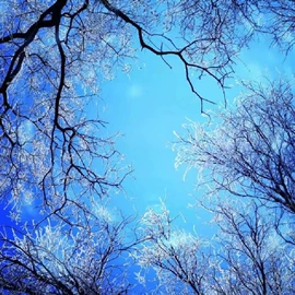 背景软包;布艺窗帘;软包