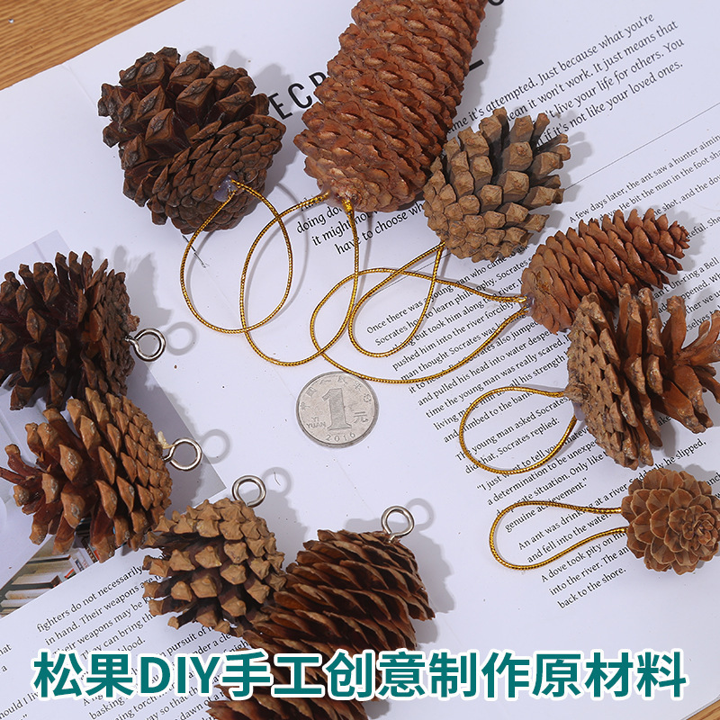 Cross-Border Lanyard Pine Cone with Nail Pine Cone Horn Nail Christmas Tree Pendant Hanging Decoration Punched Decoration DIY Material Wholesale