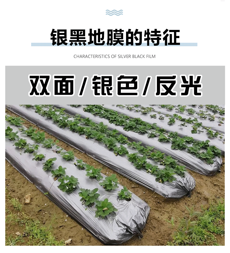 银黑膜详情页+_06
