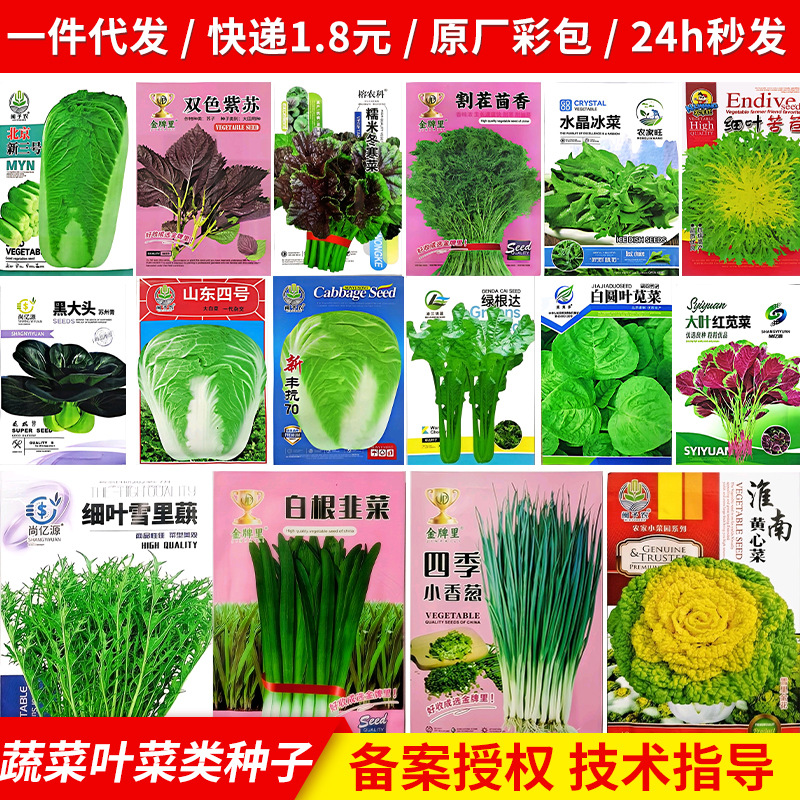 Green leafy vegetable seeds are easy to grow organic rapeseed all…