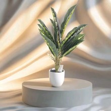 ����Gֲ�辰С�پGֲ�����҃ȿ͏dins�L�b�Ʒ����Ҿ�С�[��